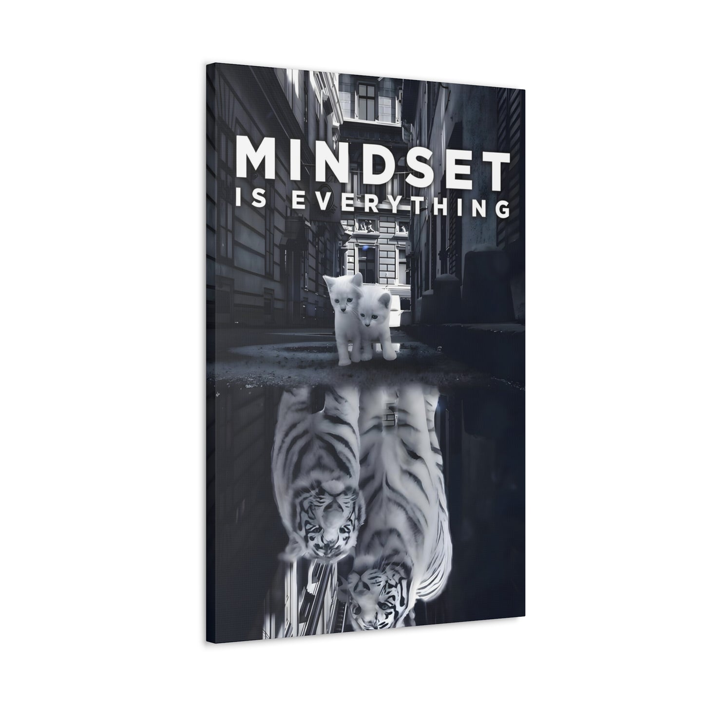 Mindset Reflections