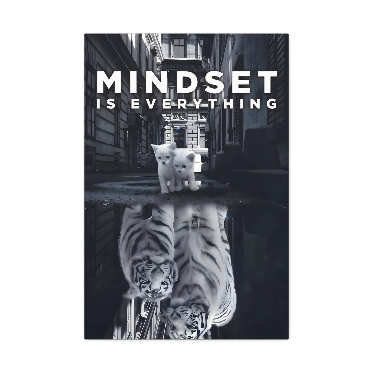 Mindset Reflections